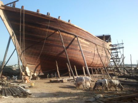 Die Werft, natürlich sind die Kühe nicht weit..
