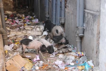 eine Gasse, wie sie öfters anzutreffen ist