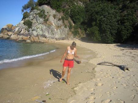 Sandy auf Muschelsuche
