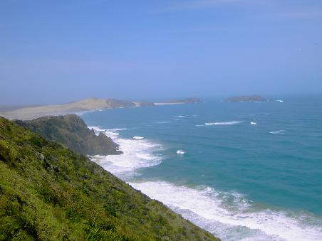 Wir waren uns einig: Die Tasmanische See gefiel uns besser.