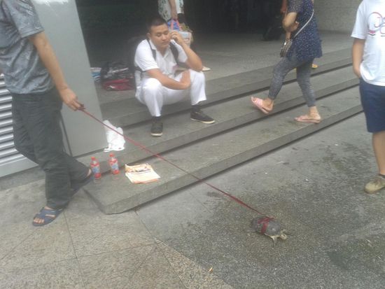 Gassi gehen mal anders...