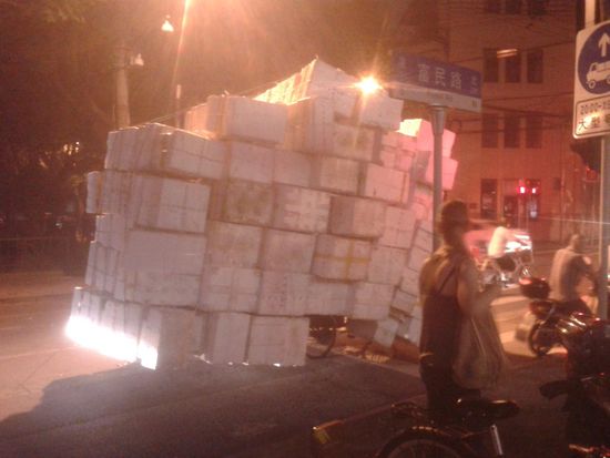 Nach einigem Betrachten erkennt man das Fahrrad unter dem ganzen Gepaeck...