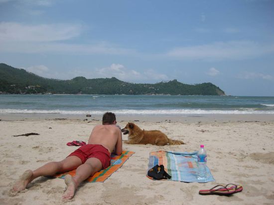 Der Hund gehoert hier zum Resort!