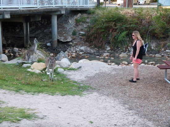 boah war ich da mutig!!