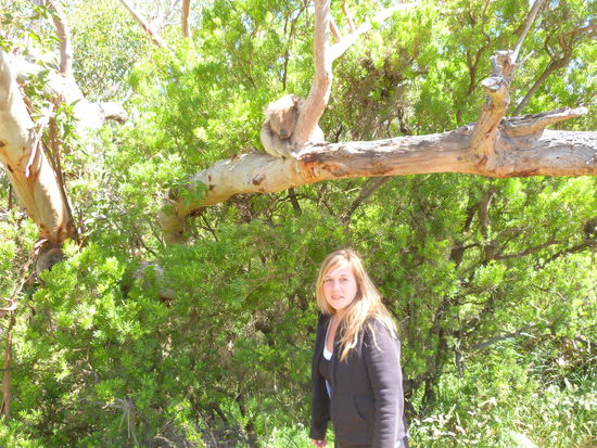 den kann nix aus der ruhe bringen, könnts ma glauben habs probiert !!!