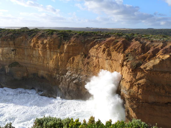 mindestens 8 meter hoch schaut hier kleiner aus!!!