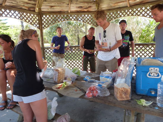 Raubtierfuetterung, haben am ersten Tag zuviel gegessen !!!!!