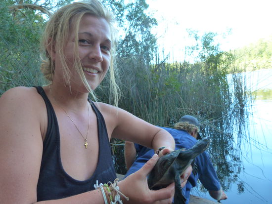 man bin ich mutig hab ne schildkröte in der Hand 