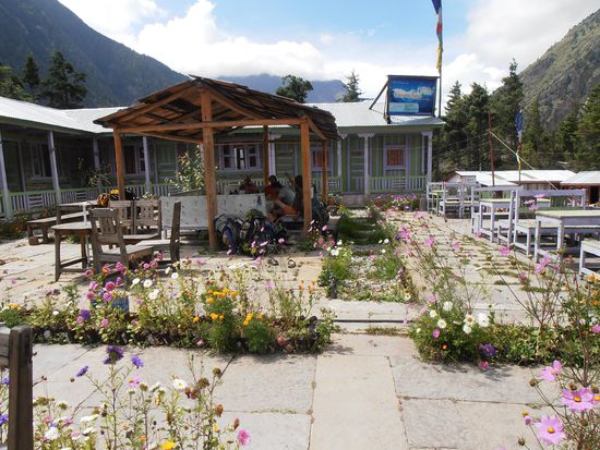 Mittagspause mit den Neuseeländern und ganz schönen Blümchen!!