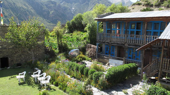 Unsere Unterkunft mit Traumgarten 