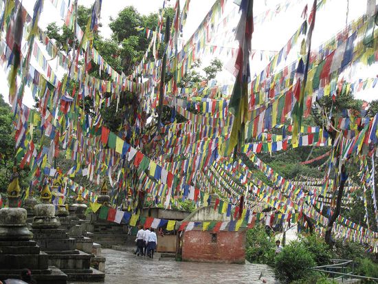 Gebetsfahnen  
sieht aus als wären wir im richtigen Land 