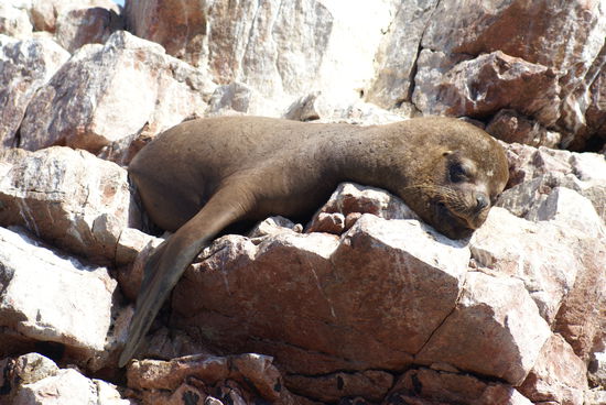 jööö!! (Schanae's meistgebrauchtes Wort um die Insel)