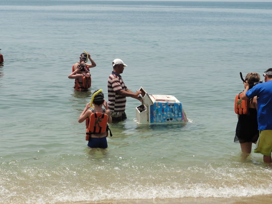 Glaceverkaeufer bei der Arbeit?!