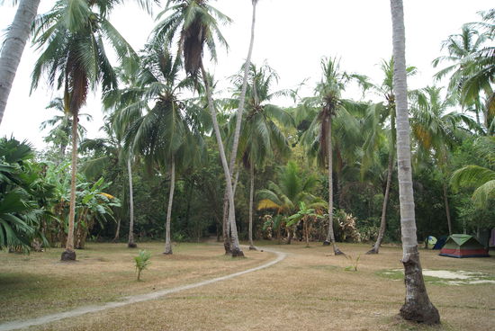 Blick aus unserem Zelt