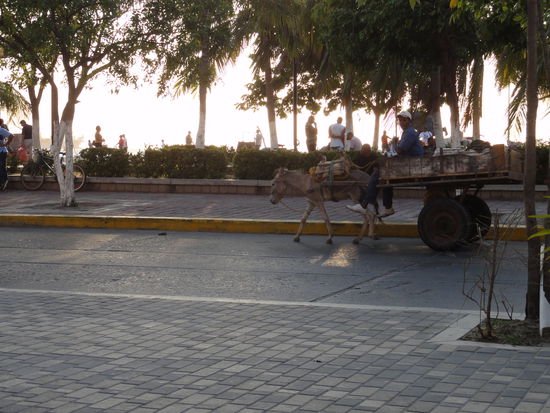 Auch alternative Transportmittel findet man in Santa Marta