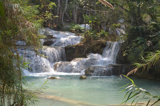 ..um wenig später an meinem Ziel, den Kuang Si Wasserfällen, anzukommen.