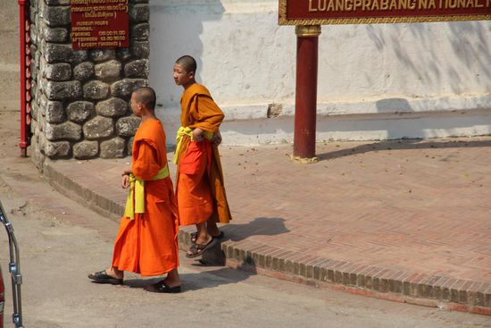 Mönche in Luang Prabang. Einige von ihnen bleiben dem Mönchtum für den Rest ihres Lebens treu, für die meisten ist es jedoch ein zeitlich beschränkter Lebensabschnitt.