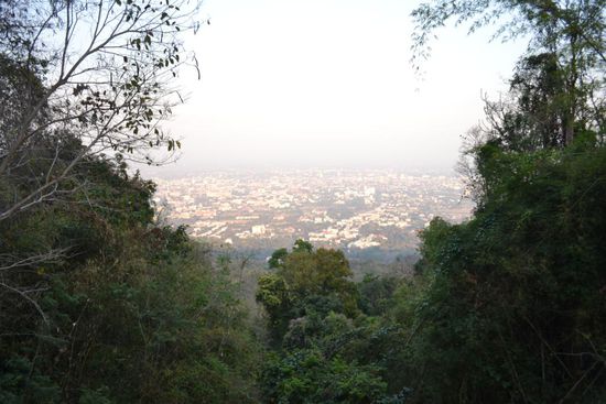 Fahrradtour von Chiang Mai zum "Wat Phra That Doi Suthep"-Tempel. Die Strecke ist zwar hin und zurück nur 32km weit, jedoch habe ich nicht gewusst, dass es 1300 Meter Höhenunterschied sind.