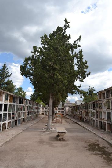 Friedhof in Cruz del Eje wo ich meine dritte Nacht verbrachte. 
(Die Nacht verbrachte ich selbstverständlich nicht auf dem Friedhof, sondern in Cruz del Eje).