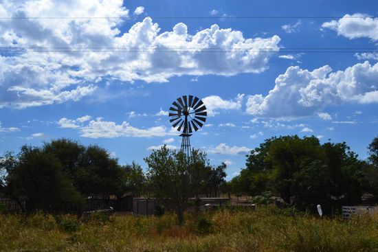 Rinderranch in der Argentinischen Pampa.