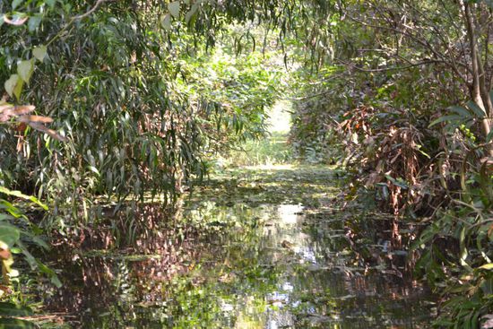 Unglaublich schoen! Die Backwaters sind ein verzweigtes Netz aus Fluessen, Seen und Lagunen.