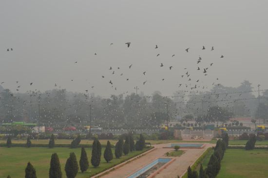 Smog in Delhi.