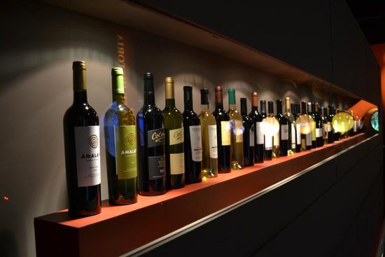 Im Weinmuseum von Cafayate.