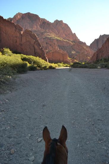 Ausflug mit dem Pferd im Wilden Westen von Tupiza.