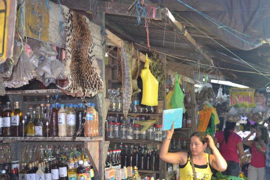 Auf dem Markt in Iquitos lässt sich alles mögliche (bzw. unmögliche) kaufen. Schlangenhäute, Raubtierfelle, Schildkrötenpanzer, Schlangenblut und Affenfleisch usw. 