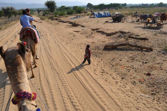 Zigeuner; auch die Zigeuner in Osteuropa sollen ursprünglich aus Rajastan stammen.