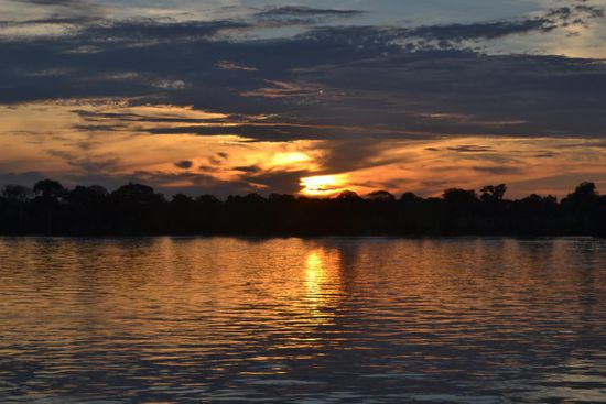 Sonnenuntergang im gigantischen Bundesstaat Amazonas. 
Die vergleichbar kleine Schweiz hätte mehr als 38 Mal Platz im grössten Bundesstaat Brasiliens!!!