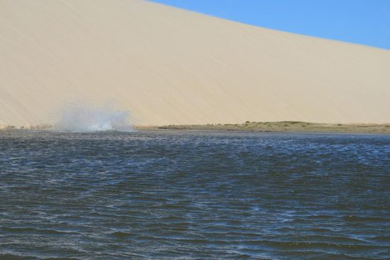 Die Fahrt wird erst mit dem Eintauchen ins Wasser gebremst.