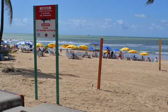 Risk from Shark Attack. Leider nicht die einzige Gefahr hier. Gerne hätte ich noch Fotos von der wunderschönen Altstadt gemacht doch unter den grösserern Städten Brasiliens ist Recife zusammen mit Salvador wohl die gefährlichste. Meine Spiegelreflexkamera habe ich vorsichtshalber zu Hause gelassen.