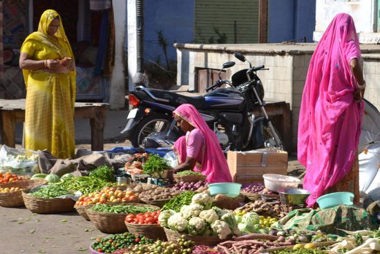 Farbenfrohes Rajastan