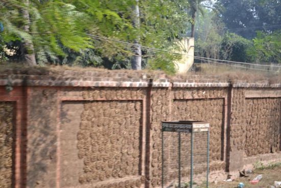 Getrocknete Kuhfladen. Habe leider nicht herausfinden koennen fuer was die sind. (Baustoff, Duenner?)