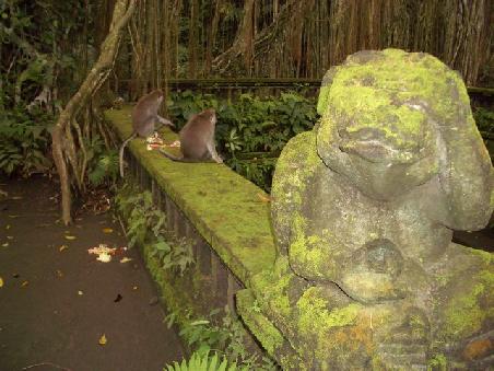 Affenwald Ubud