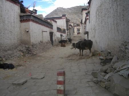 Seitenstrasse von Gyantse