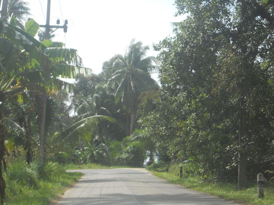 Durch die Landschaft am Weg in den Norden