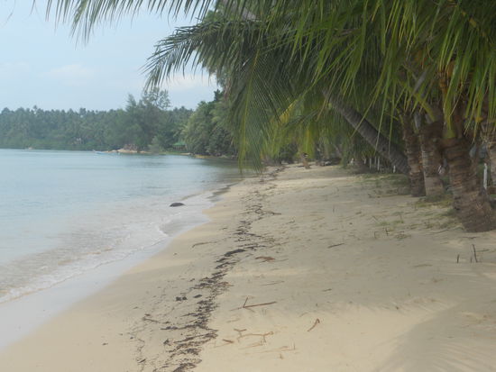 Ein Strand im Nordwesten