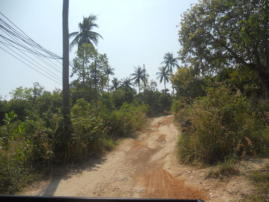 Die Straße zum Freedom Beach