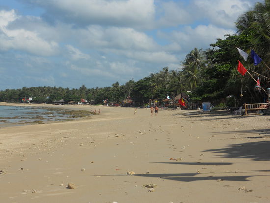 Ein Strand im Norden bei Ebbe
