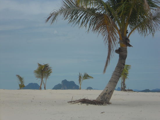 Unser Paradies