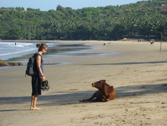 Cowboy meets holy cow