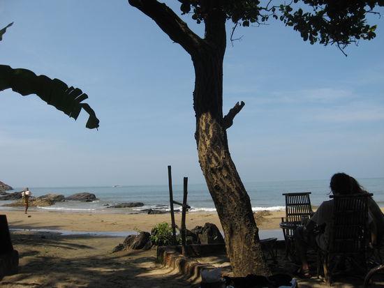 Aussicht aus dem Jazzmin Cafe