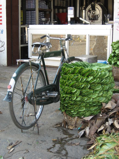 Bananenblatt-Transporter