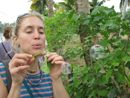 Die Jatropha Pflanze (bekannt durch ihre Verwendung als Biodiesel) kann man super zum "Seifebloetterle" brauchen