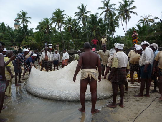 Viele Fische und eine sexy Fischerhose (Nach dem Fang durfte ich allen Fischern eine Zigarette spendieren)
