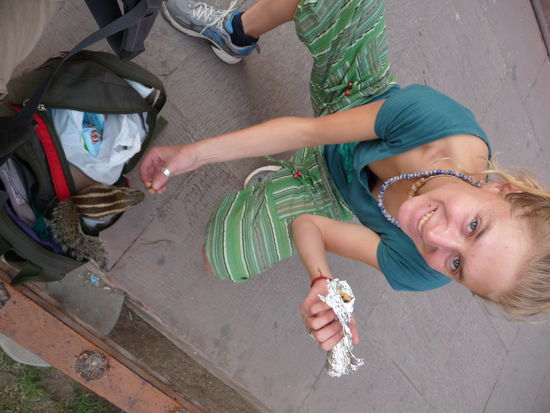 Fuettern der Streifenhoernchens