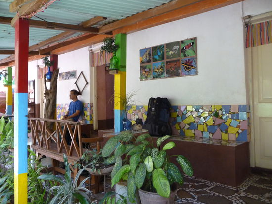 Der Garten des Hauses. Dieser war sehr gemuetlich gestaltet und bot guten Schutz waerend des Regens.