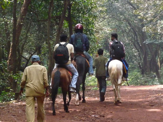 Vorsichtige Inder. Wenn Motorradfahren ohne Helm schon gefaehrlich ist, dann auf einem Pferd erst recht (Er hatte sogar Handschuhe an!).